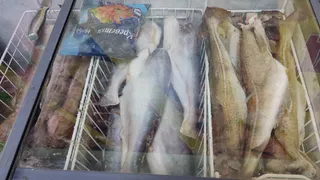 Названа самая полезная для человека рыба - ешьте дважды в неделю, богата селеном, кальцием и хороша