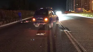 Нарушил правила и умер: на Зубковой насмерть сбили пешехода