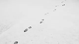 В Пензенской области полицейские задержали вора по следам на снегу