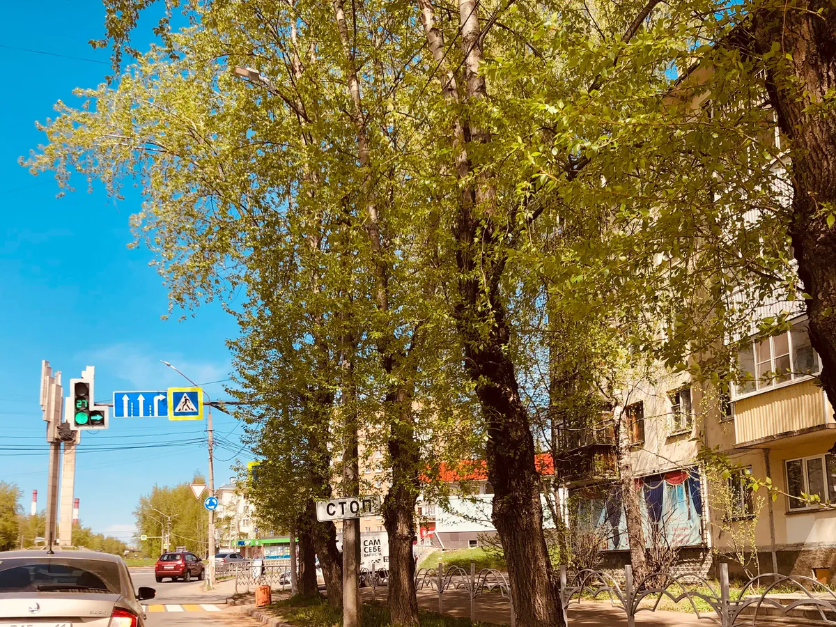 Счастье уже на пороге: после 17 июня их жизнь преобразится — волшебники и феи не нужны