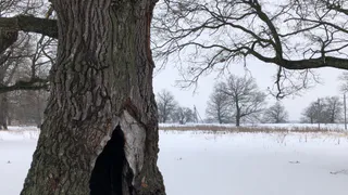 20 марта в Рязанской области ожидается туман и до -10