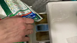 Сколько на самом деле нужно засыпать порошка в стиралку? Эксперты помогли разобраться в вопросе