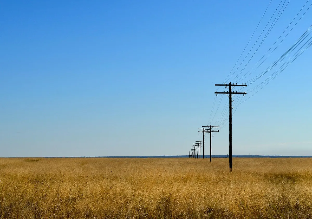 Депутат рассказал об интеграции роботов в сельское хозяйство Челябинской области