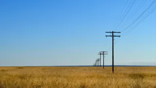 Депутат рассказал об интеграции роботов в сельское хозяйство Челябинской области