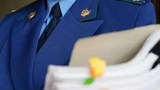 В Елабуге пресекли таможенное нарушение на 7,2 млн рублей
