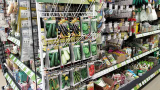 Рязанцам продавали ненадежные семена овощей