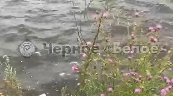 Рыба в магнитогорском "Притяжении" погибла из-за некорректного кормления посетителями