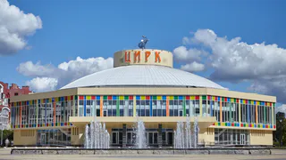 Уже в марте: рязанский цирк объявил о возобновлении представлений