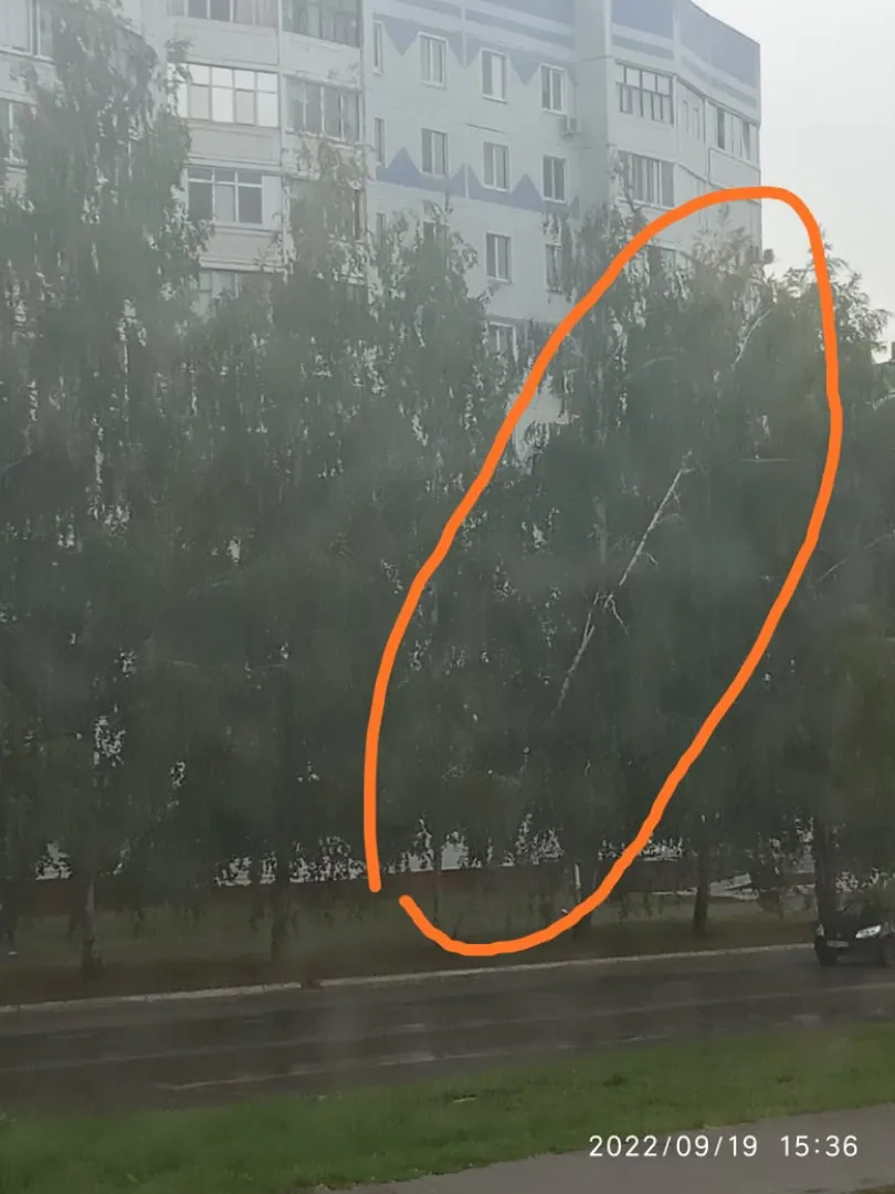 «Ждут, пока упадет, а упадёт прямо на проезжую часть»