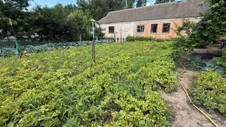 Если в доме завелась сороконожка, ни в коем случае не убивайте ее: бывалые дачники знают, зачем она приходит