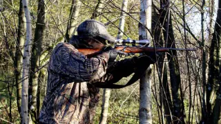 В Челябинской области с 31 августа начнется охотничий сезон