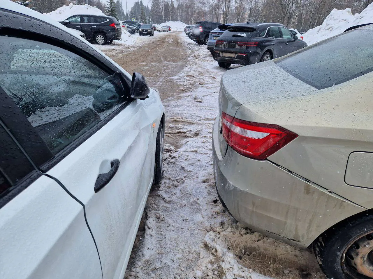 В Нижнекамске водитель совершил наезд на пешехода: женщина получила ушиб грудной клетки