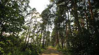 В рязанском кардиодиспансере появилась тропа здоровья