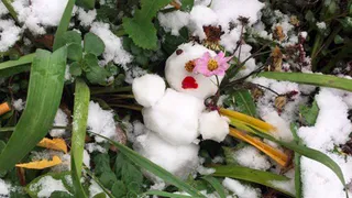 Снег в Instagram Рязани - первый снеговик уже вылеплен!