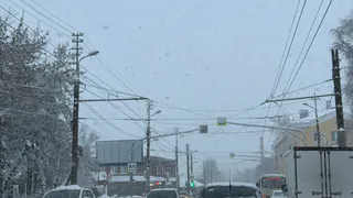 Автомобилисты игнорируют этот пункт ПДД — привычный маневр внезапно бьёт по кошельку