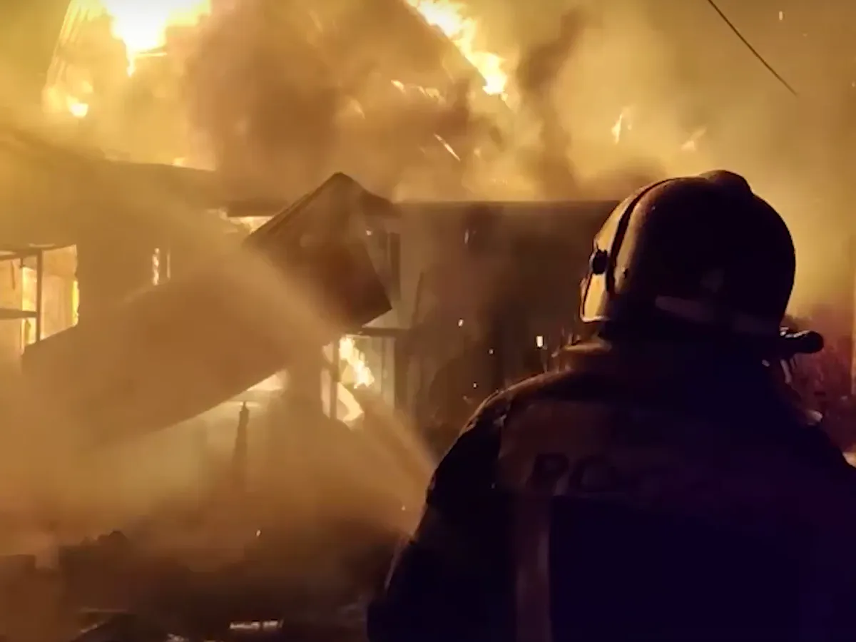 «Обе без сознания»: кошку откачали кислородной маской на пожаре под Челябинском, ее хозяйка в больнице