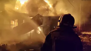 «Обе без сознания»: кошку откачали кислородной маской на пожаре под Челябинском, ее хозяйка в больнице