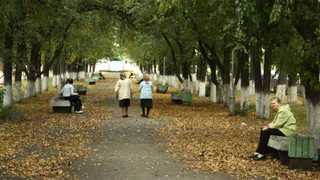 Прогноз синоптиков – какая погода ждет рязанцев в сентябре
