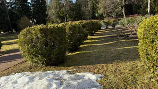 Метеоролог объявил, когда оттепель придет в Рязанскую область