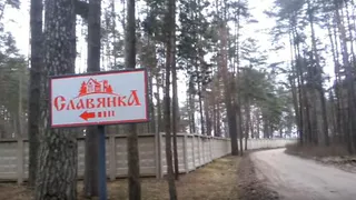 В Брянской области ООО "Славянка" "приватизировала" большой участок леса и берега "Десны"