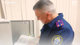 Бастрыкин потребовал доклад по делу о надругательстве мужчины над дочерью в Александрове