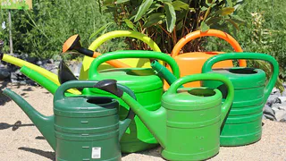 Эффективные способы полива огорода: как сэкономить воду и время