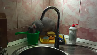 5 января рязанцам советуют навести порядок в доме