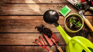 Добро пожаловать на грядку