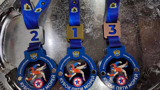 Самбисты из Усинска привезли россыпь медалей с соревнований в Архангельске