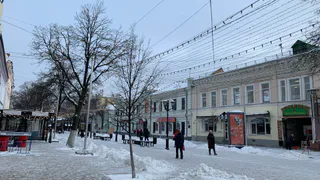 28 декабря в Рязанской области ожидается снег и до -8