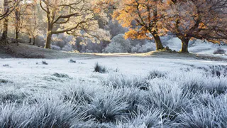 Жителей Рязани предупредили о сильном похолодании 