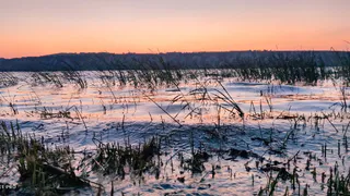 Предпринимателя будут судить из-за утонувших рабочих