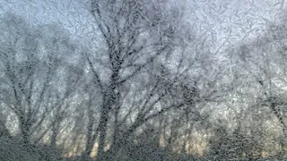 Возможен снег: погода в Рязани на понедельник