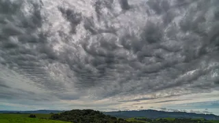 В Брянской области 10 августа ожидается +25ºC тепла