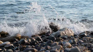 И не думайте сюда ехать: зеленая жижа и дикие мужчины на российских пляжах в 2024. Отдых обернется кошмаром