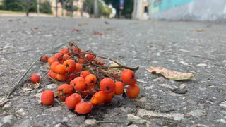 Какой день станет самым теплым на этой неделе? Отвечает Гидрометцентр