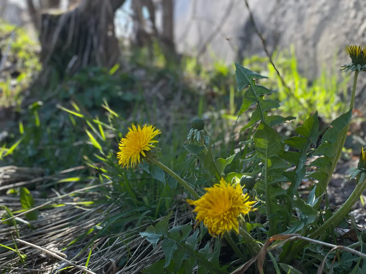 Антициклон принесет на Южный Урал аномально теплую погоду и смог