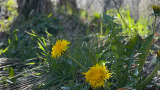 Антициклон принесет на Южный Урал аномально теплую погоду и смог