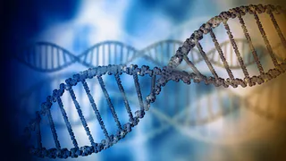 В России могут появиться «генетические паспорта» для призывников