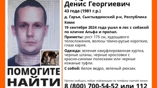 В одном из районов Коми мужчина ушел в лес с собакой и пропал