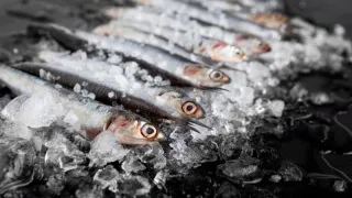 В этой рыбе огромное содержание ртути: гробит печень, мозг и сердце