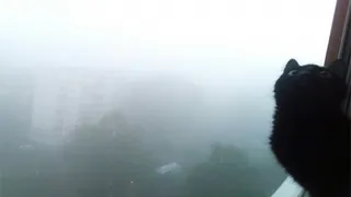 Брянцам пообещали в  первый день лета туман +20