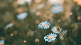 О погоде в Рязани - рабочая неделя выдастся прохладной