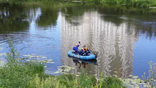 Экоактивисты: в реке Быстрица обнаружены никель и свинец