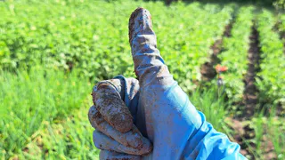 Что ждать на майские праздники от погоды? Метеорологи рассказали россиянам, к чему готовиться