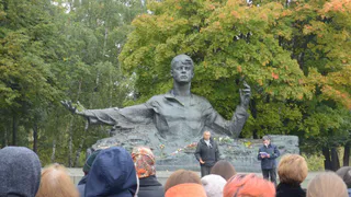 "Семерых ощенила сука" – школьник с чувством прочел стихотворение Есенина