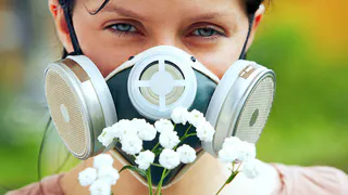 Пора цветения- время аллергии