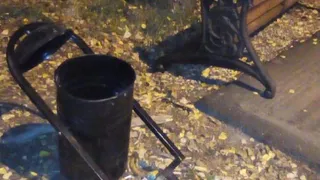 18 и 16 лет: стало известно, кто разгромил Гагаринский парк