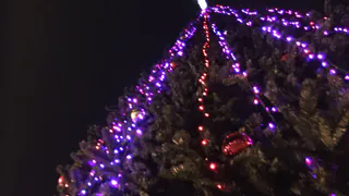 Рязанская полиция рассказала о "комендантском часе" и употреблении алкоголя в новогоднюю ночь