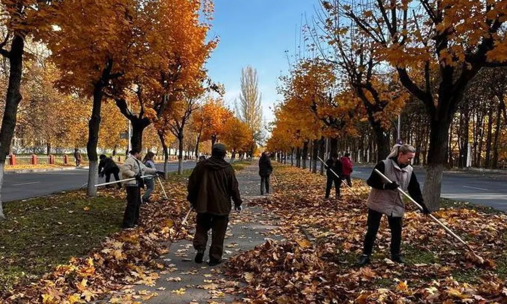 Более 17 тысяч жителей Владимира вышли на большой осенний субботник